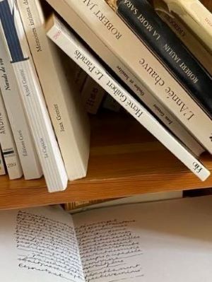 Le Paradis, d'Hervé Guibert, dans une bibliothèque familiale nimbée de souvenirs, 2021. Cliché M. I. M.