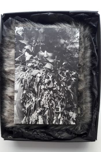 Au verso de « Les Fanfares de circonstance » de Sophie Calle, portrait de face en noir et blanc, de l'artiste statufiée, cachée derrière des feuillages, une photo légendée : « En arbre, fête du Cailar, 1992, © Sophie Calle, bibliothèque de l'INHA. Cliché INHA