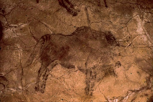 Cueva de Altamira, grotte d'Altamira (Espagne), bison, cliché Daniel Villafruela, CC By 3.0, source Wikimedia Commons