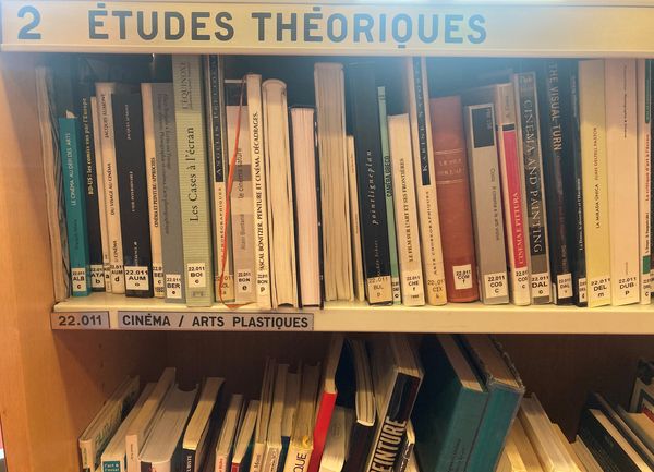 Bibliothèque de la cinémathèque : études théoriques. Cliché : Marie Garambois