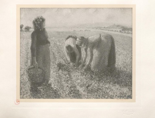 Eugène Druet, [Collection Georges Viau, recueil de planches. Tome 1 : Pissarro, La cueillette], photographie, avant 1925. Paris, bibliothèque de l'INHA, PL F 23. Cliché INHA