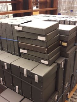 Une partie du stock de boîtes d'archive, magasin central niveau 3, bibliothèque de l'INHA. Cliché INHA