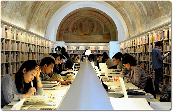 Aile Bibliothèque Moderne