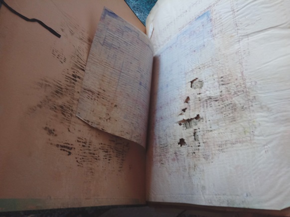 Des moisissures sur les pages d'un livre, conséquence de mauvaises conditions de conservation. Photo INHA.