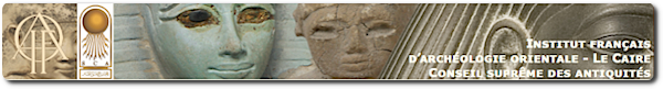 Page d'accueil de la base « Cachette de Karnak », 2018. @IFAO. 